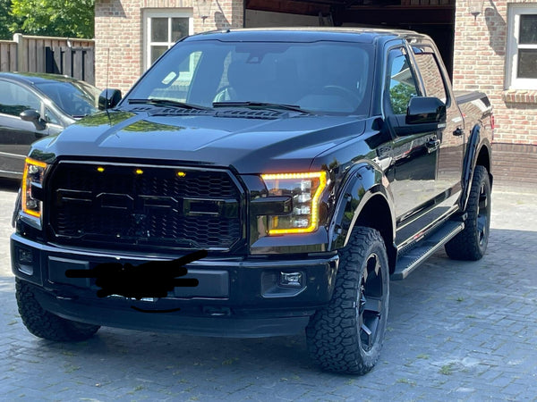 Ford F150 grill raptor 2014-2017